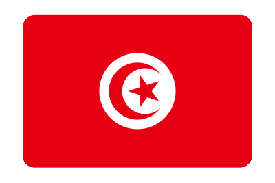 Tunisia flag (bevelled) clipart