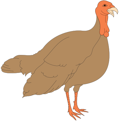Turkey clipart