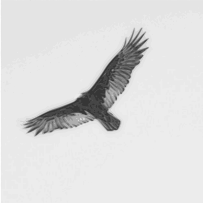 Turkey vulture in flight clipart