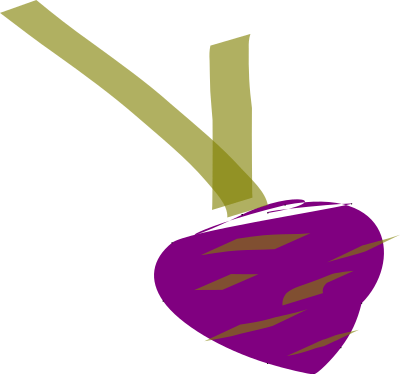 Turnip clipart