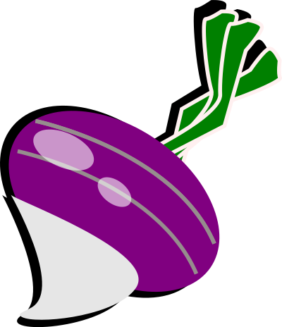 Turnip clipart
