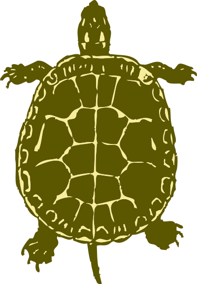 Turtle clipart