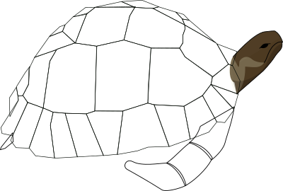 Turtle clipart