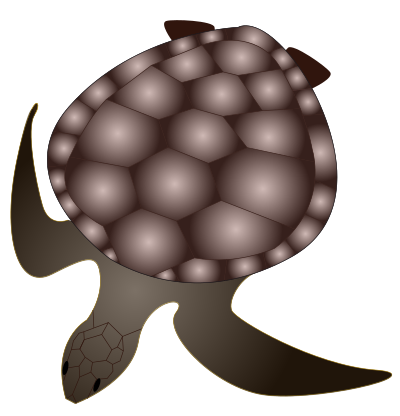 Turtle clipart