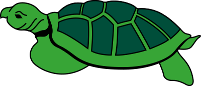 Turtle 2 clipart