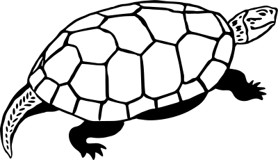 Turtle 3 clipart