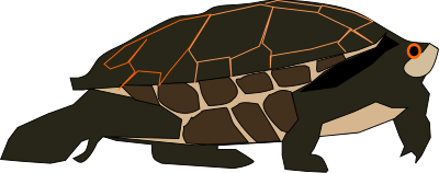 Turtle clipart