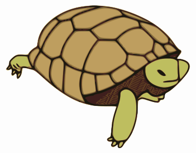 Turtle crawling - color clipart