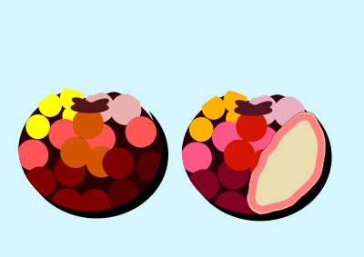Two apples clipart