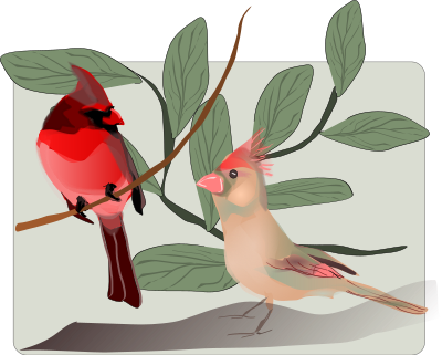 Two Birds Background clipart