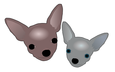 Two Chihuahuas clipart