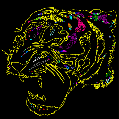 Tyger clipart