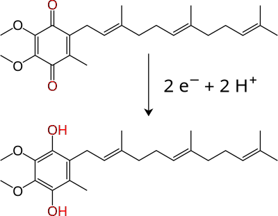 Ubiquinol Conversion clipart