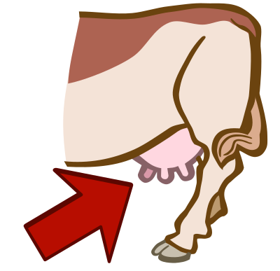 Udder - coloured clipart