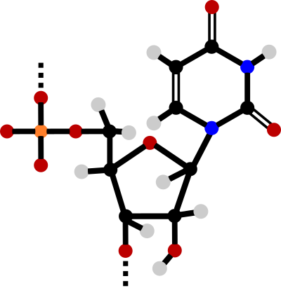Uridine monophosphate clipart
