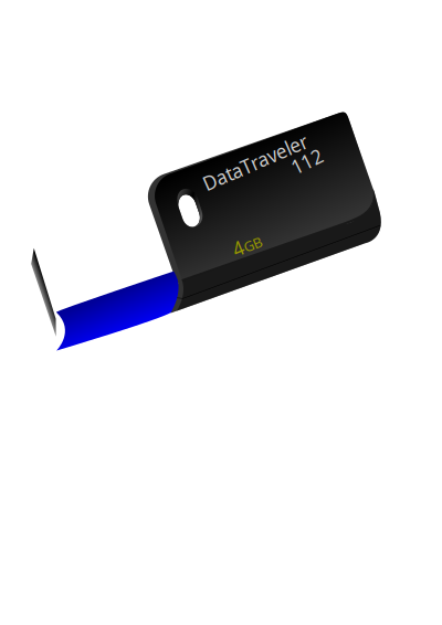 USB Flash Drive Kingston DataTraveller 112 clipart
