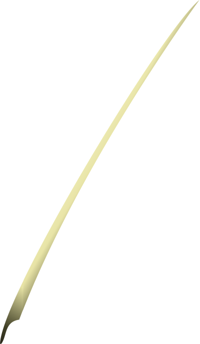 Used Quill clipart