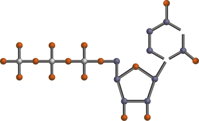 UTP clipart