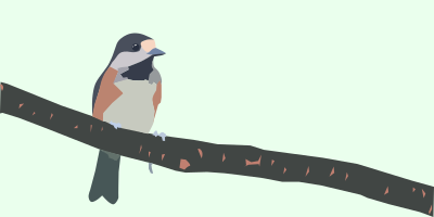 Varied tit 01 clipart