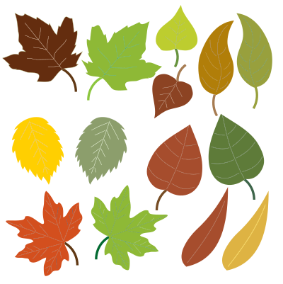 Variety Of Leaves clipart
