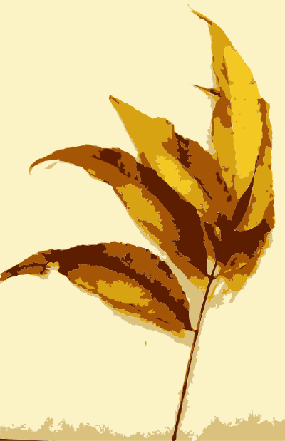 Various Missouri tree leaves 3 clipart
