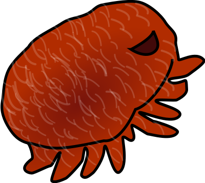 Varroa destructor clipart