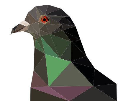 Vector Pigeon clipart
