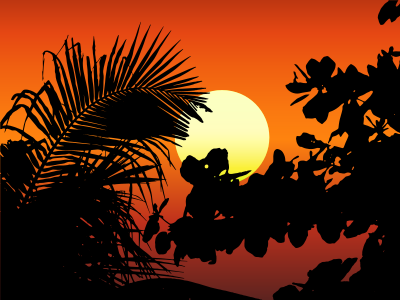 Vegetation Silhouette Sunset clipart