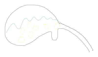 Vesicula clipart