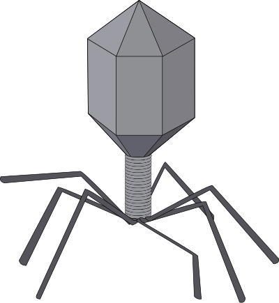 Virus clipart