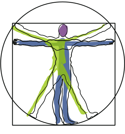 Vitruvian Man clipart