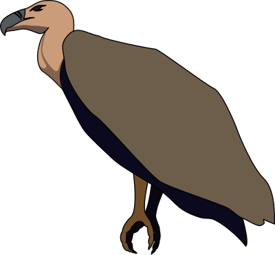 Vulture clipart