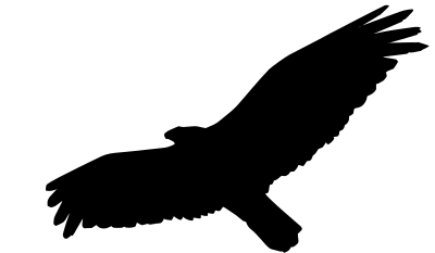 Vulture clipart