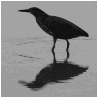 Wading green heron clipart