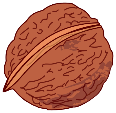 Walnut colored clipart