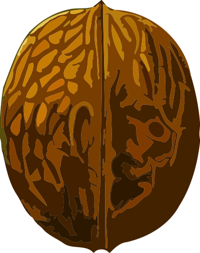 Walnut (low resolution) clipart