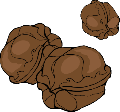 Walnuts clipart