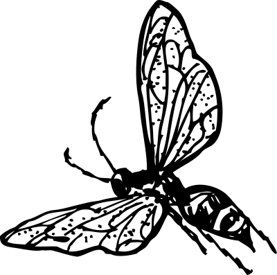 Wasp clipart