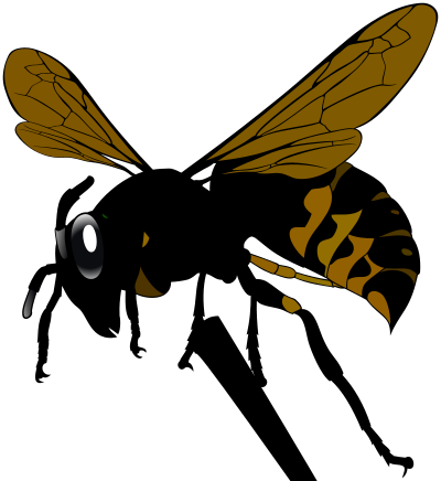 Wasp clipart