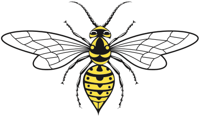 Wasp clipart