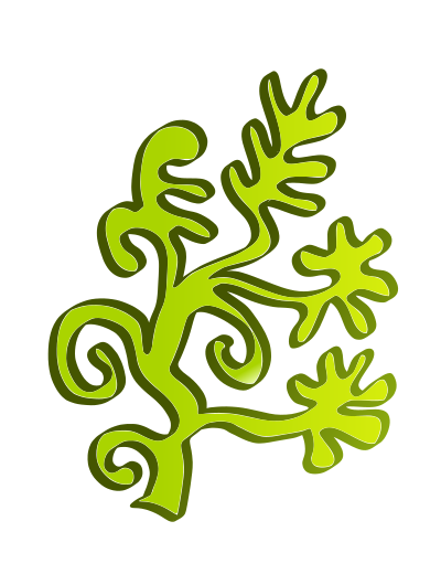 Water plant clipart