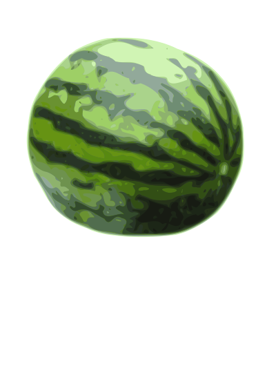 Watermelon clipart