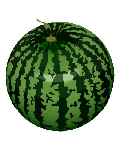 Watermelon clipart