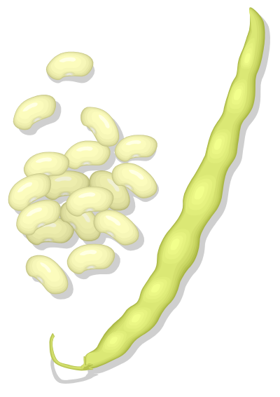 Wax beans clipart