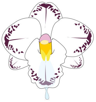 wild Orchid clipart