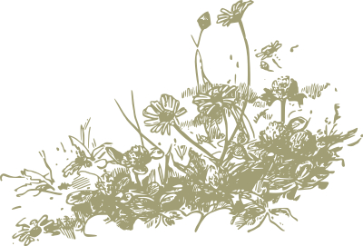 Wildflowers clipart