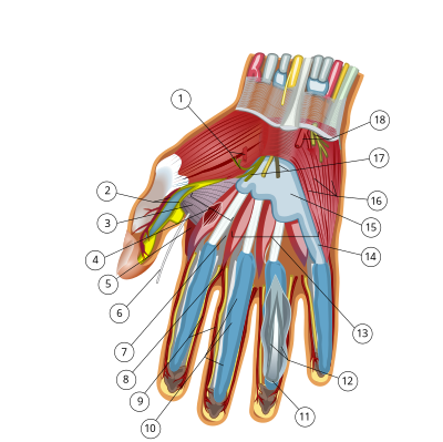 Wilfredor-39c8d3e5 clipart