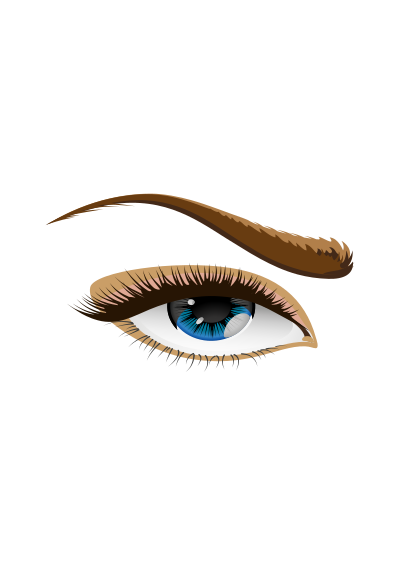 Woman's blue eye and eyebrow clipart