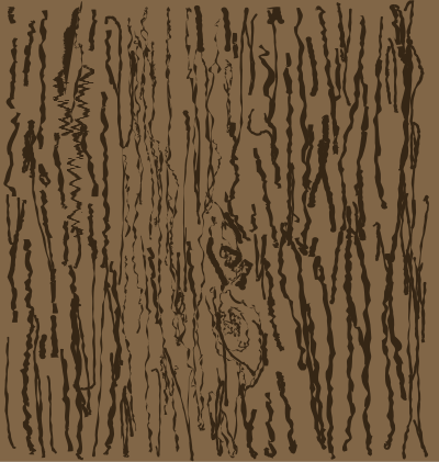Wood texture clipart
