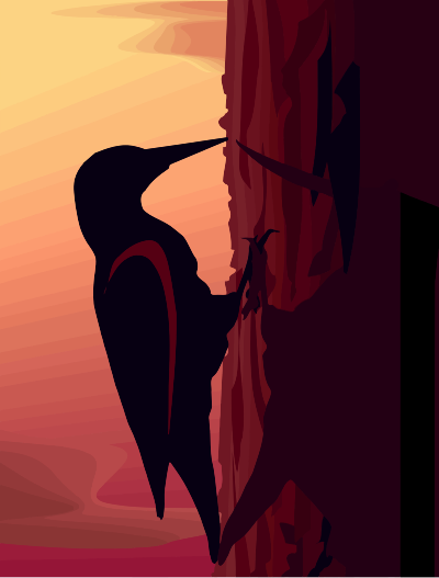 Woodpecker 2 clipart